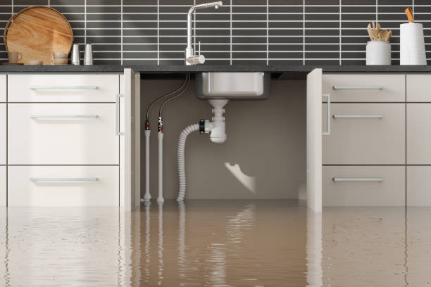 Best Flood restoration services  in Curwensville, PA