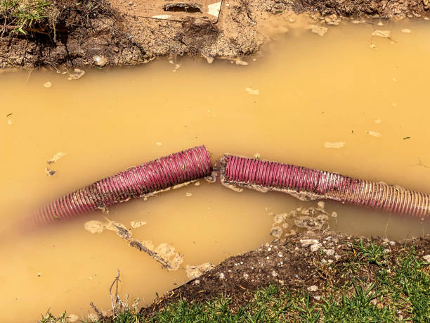 Curwensville, PA Water damage restoration Company